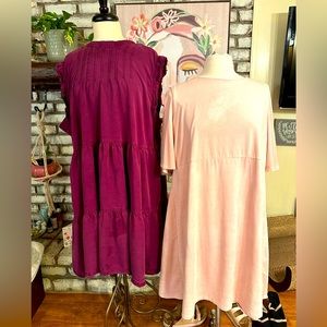 Anthropologie dress 3x with suede dress